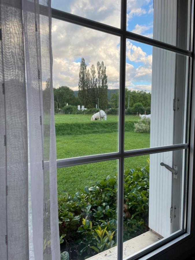 Hotel Saint Odilon Cluny Bagian luar foto
